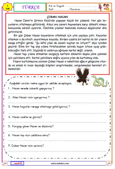 3. Sınıf Türkçe Okuma ve Anlama  Etkinliği ( Çoban Hasan )